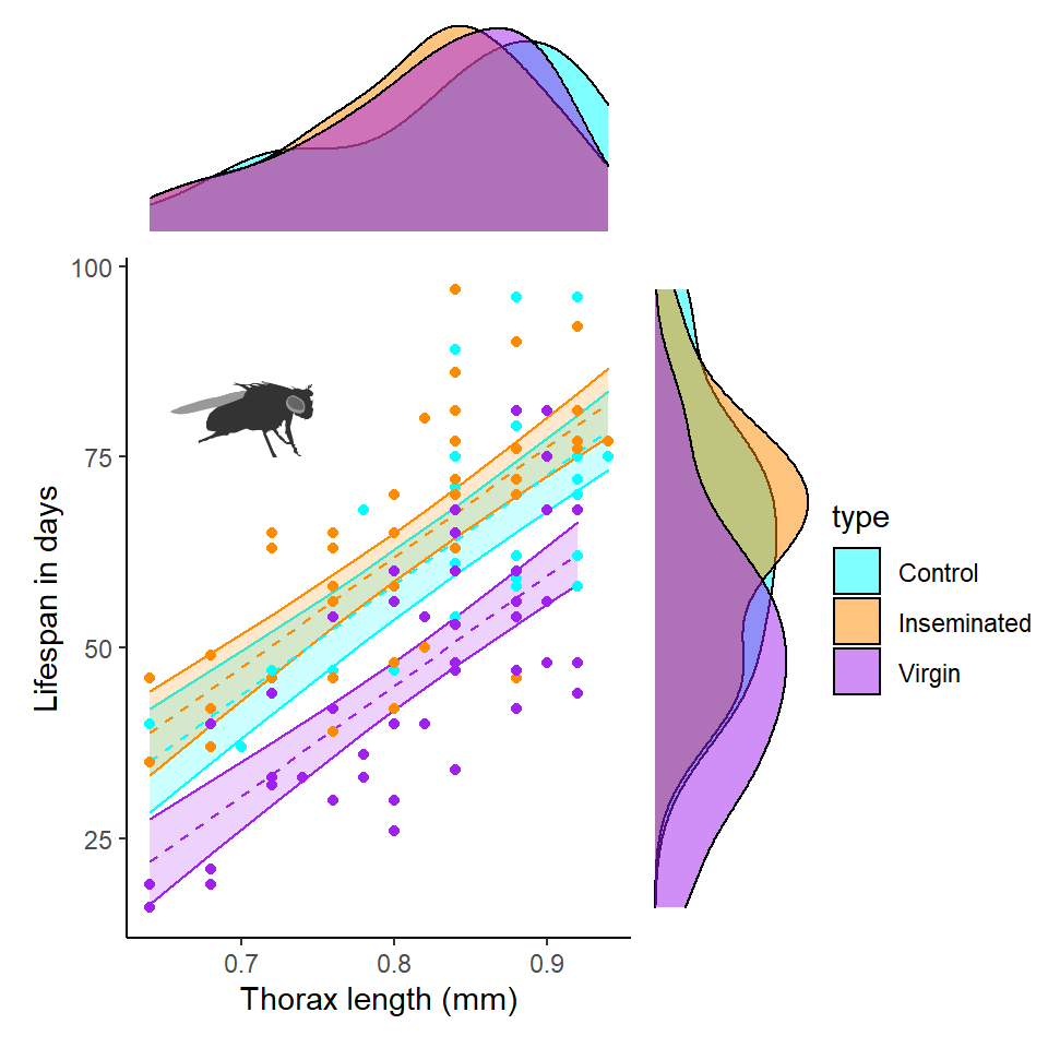  A scatter plot of longevity against body size across three treatments of differening male sexual activity. Fitted model slopes are from the reduced linear model (main effects only of thorax size, sleep and treatment group), with 95% confidence intervals, circles are individual data points. Marginal plots are density plot distributions for thorax length and longevity split by treatments.