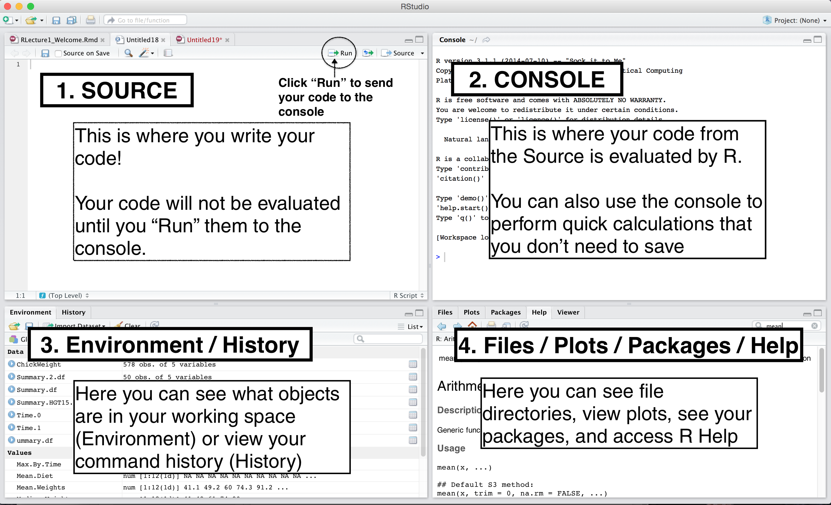 RStudio interface labelled