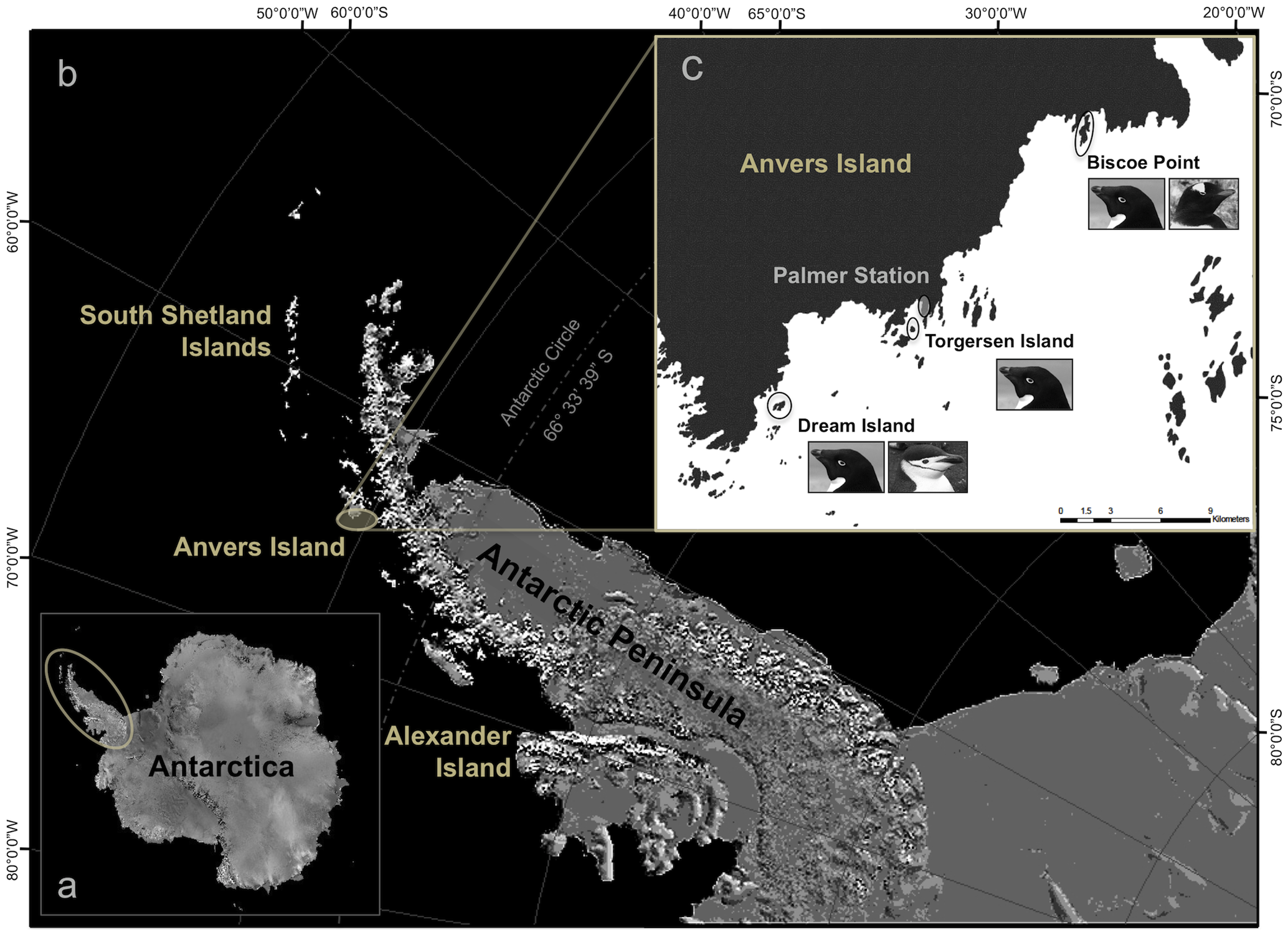 Antarctic Peninsula and the Palmer Field Station