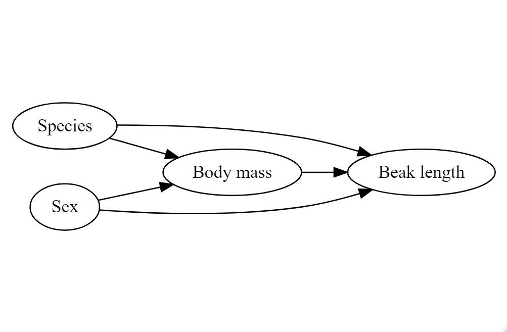 Variables such as species or sex may directly or indirectly affect the relationship between body mass and beak length