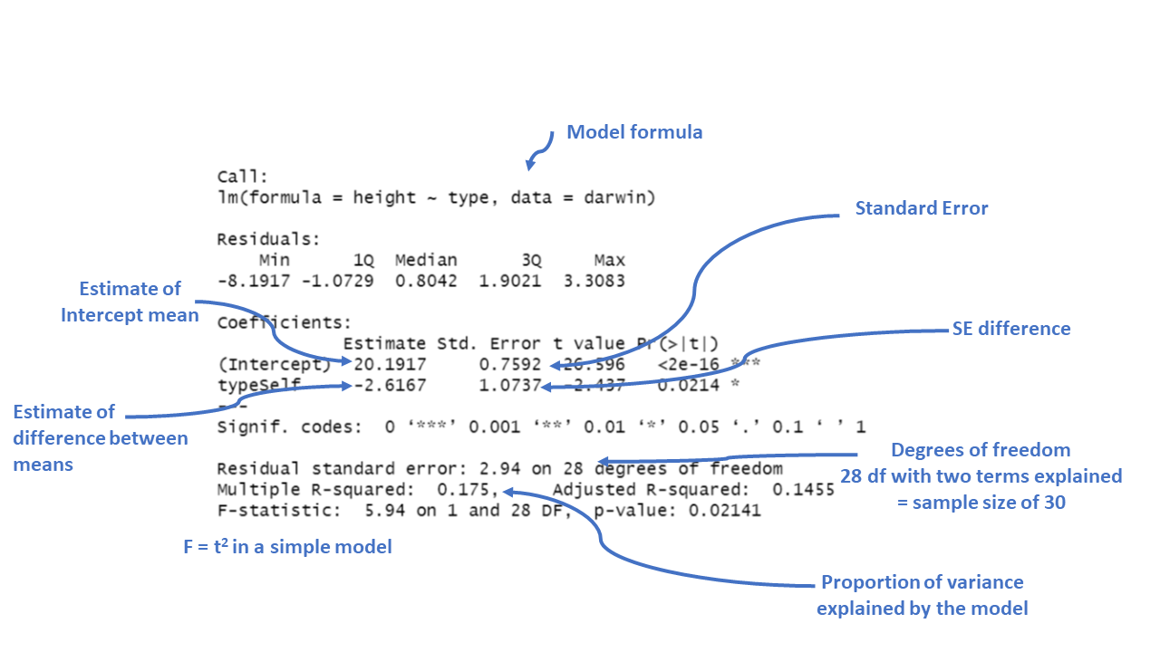 Annotation of the summary function output