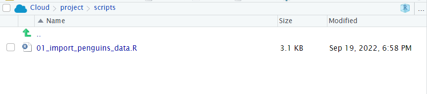 If you have sucessfully saved 02_visualisation_penguins.R it should be visible here too 